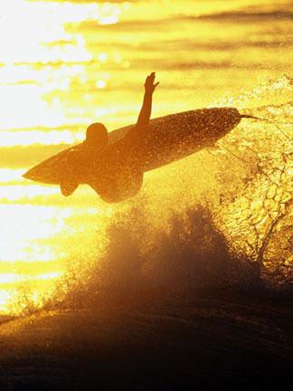 superbe photo jadore
