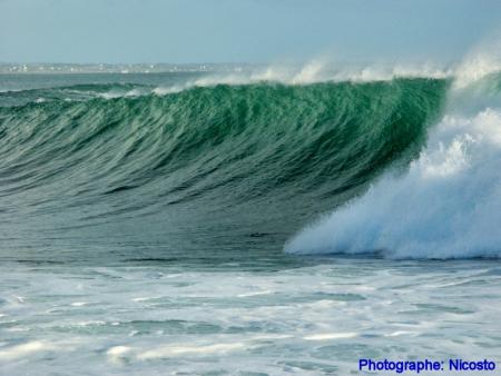 la plus belle vague!!!!!!!