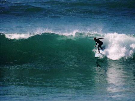 funny  surf