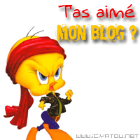lachez vos comm's