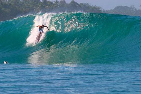tu veux surfer ptite bête?! pourquoi pas?! ils le font avec les surfer